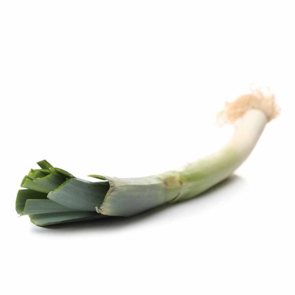 Cebolla Puerro